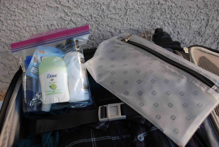 swissgear meyrin 20 - we loved the removable plastic pouch! it has a longer lifetime than...