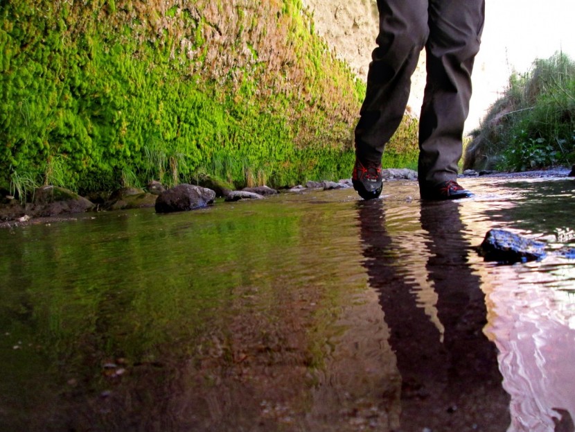 merrell capra venture mid gtx - waterproof membranes, such as seen here in on the merrell capra...