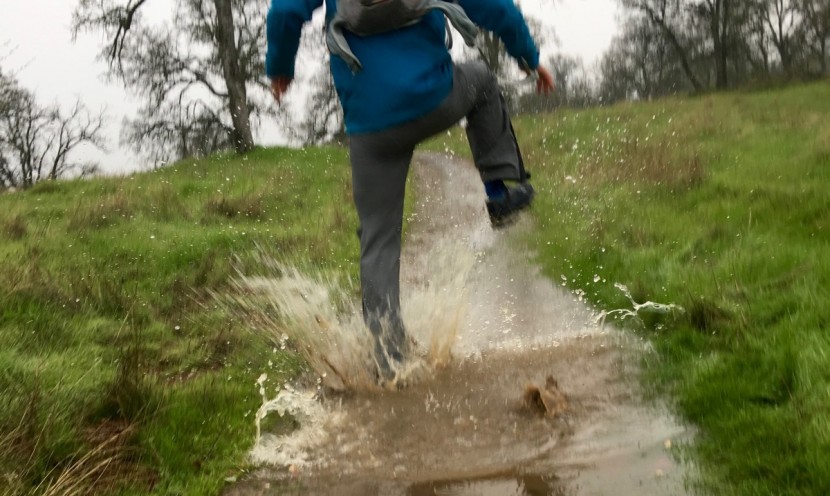 rain pants - both 2.5 and 3 layer fabrics might feel the same in the store. they...