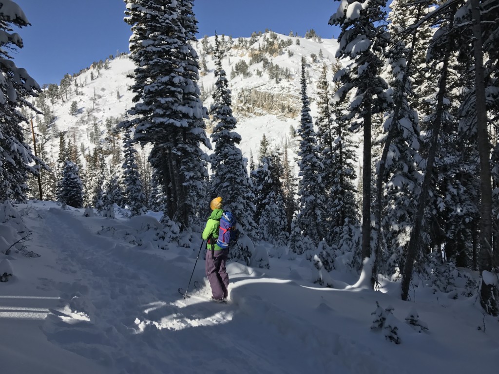Flylow Women's Nina Pant Waterproof Breathable Ski & Snowboard Pant