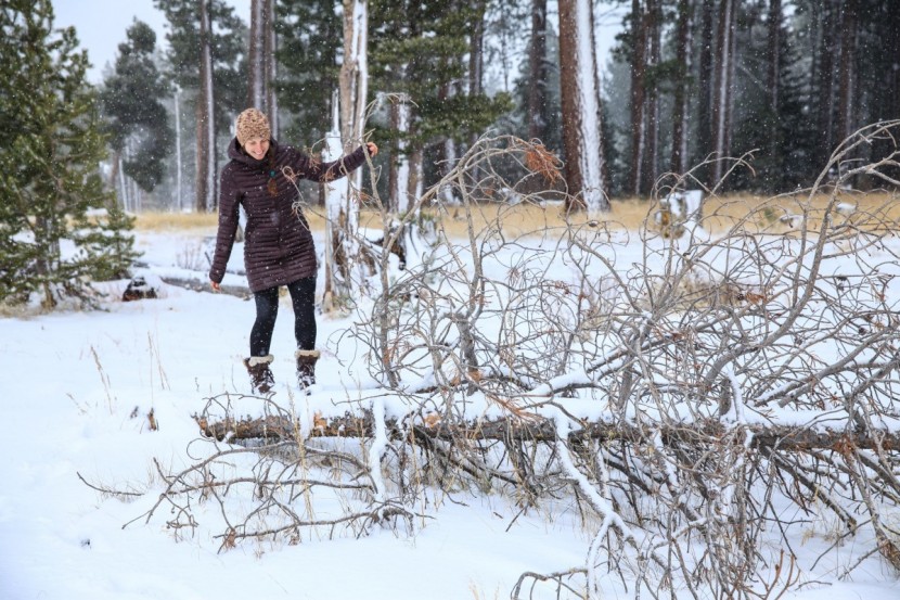 arcteryx nuri - highly functional and stylish, this jacket is perfect for running...