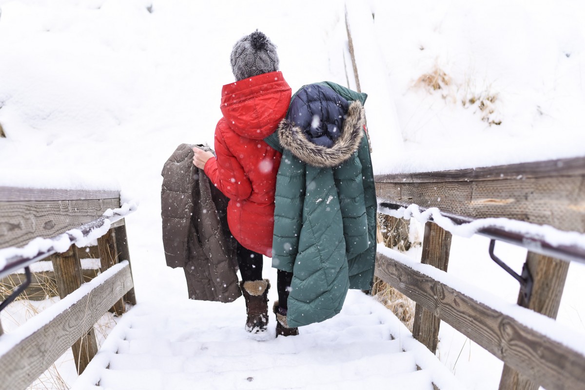 Women's Winter Jacket Buying Guide