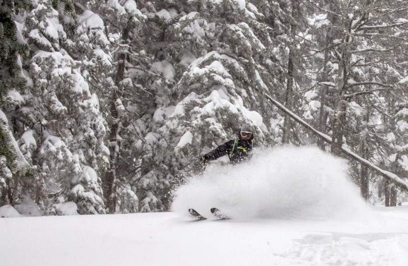 columbia bugaboo pant ii - ski pants in action. in high energy skiing like this, uninsulated...