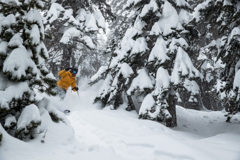 nordica santa ana 100 - tester jessica haist having fun in the trees with the nordica santa...