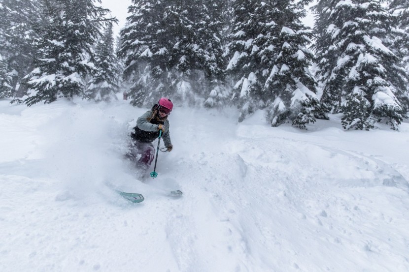 head great joy - the great joys&#039; fat tips plow through the powder and keep you on top...