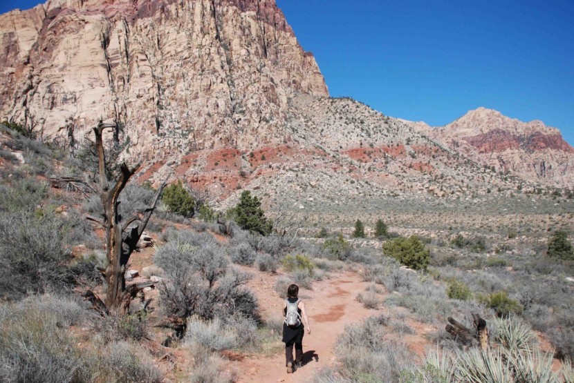 salomon ellipse 3 cs wp for women - heading out for a day hike in the &quot;backyard.&quot; if you love to get out...