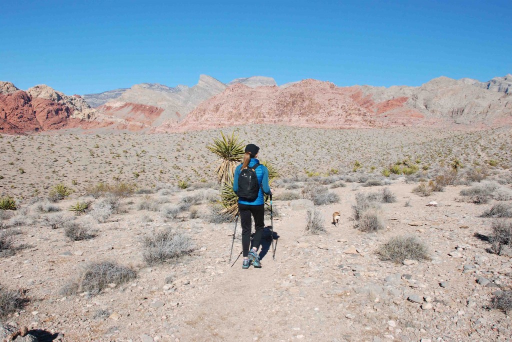 hiking shoes womens - a lightweight pair are great for fast hiking with a light pack.