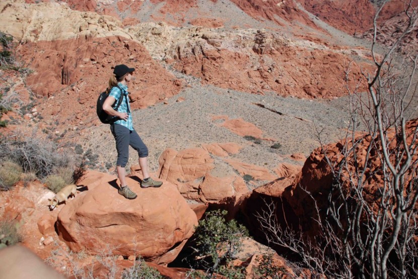 vasque talus trek low ultradry for women - these hiking shoes are comfortable and stable, but weren't the best...