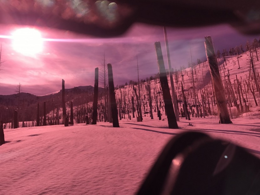 bolle carve - view through the carve on a sunny day.