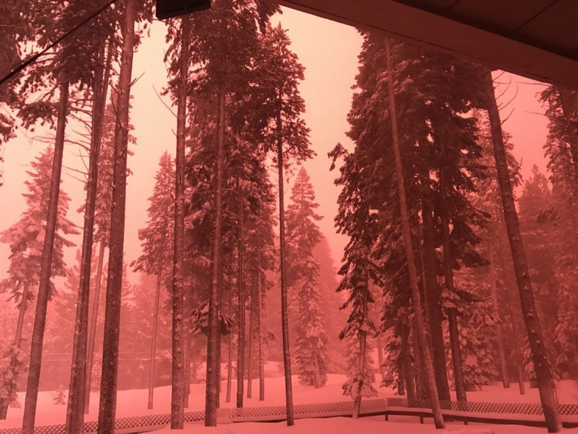 oakley flight deck - the flight deck's bright light jade iridium lens on a low light day.