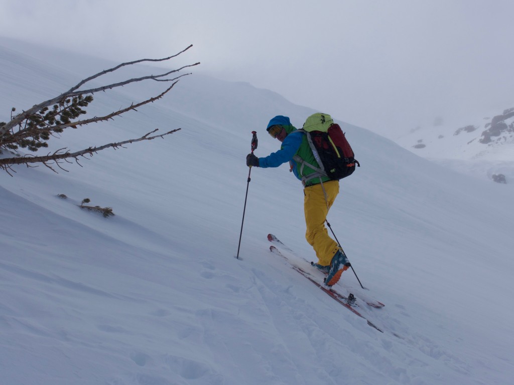 Smith Squad Goggles - Ski