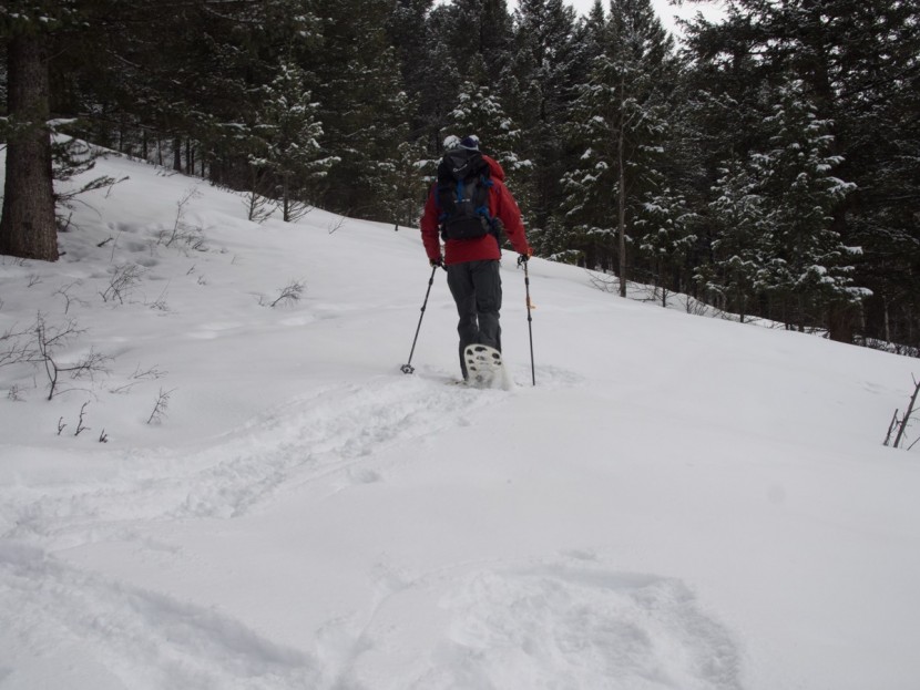 fimbulvetr hikr - for fresh snow, the fimbulvetr&#039;s flotation is about average among...