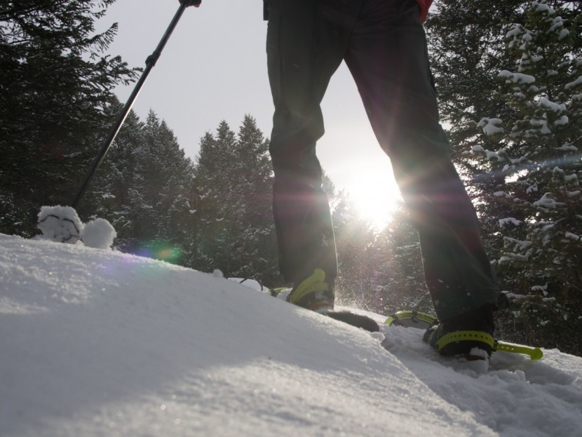 louis garneau blizzard ii - for forested exploration in deep snow conditions, the louis garneau...