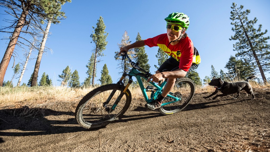 yeti sb5.5 x01 eagle 2017 - snoopy likes how hard the yeti sb5.5 rails the turns.