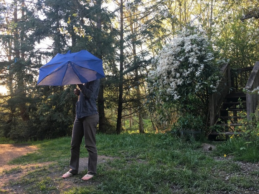 senz smart s - the smart s umbrella.