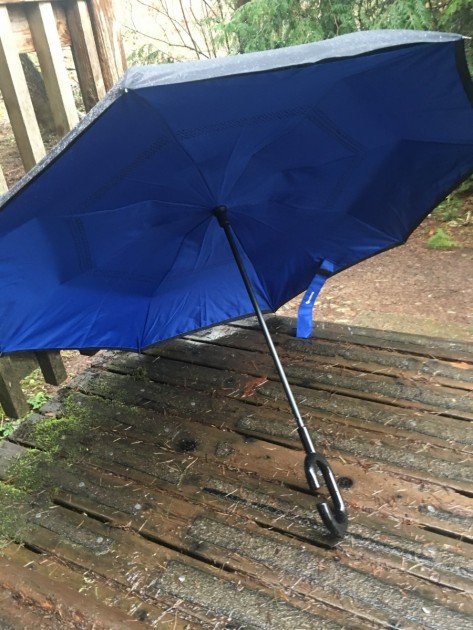 glamore creative cars reverse - the blue underside of the reverse umbrella.