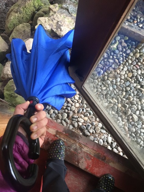 glamore creative cars reverse - this umbrella&#039;s canopy closes upward, opposite most standard...