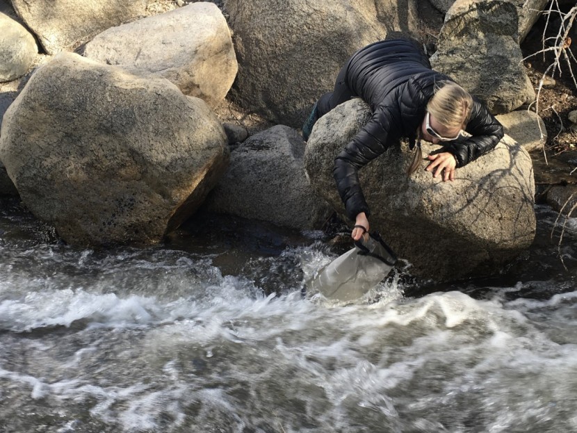 msr autoflow gravity filter - the msr autoflow&#039;s new color is harder to spot in murky water, but...