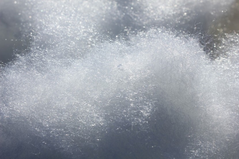 camping sleeping bag - whether it&#039;s goose down or synthetic material (above), thermal...