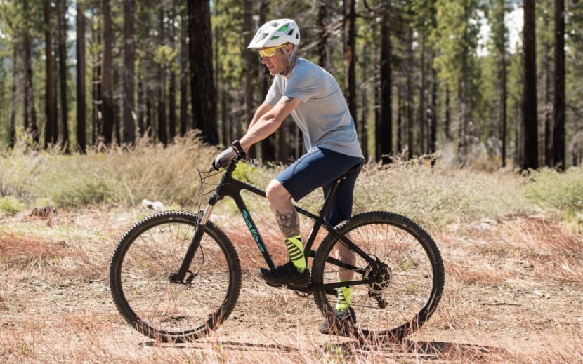 dakine boundary - the dakine boundary shorts are very comfortable for long xc rides.