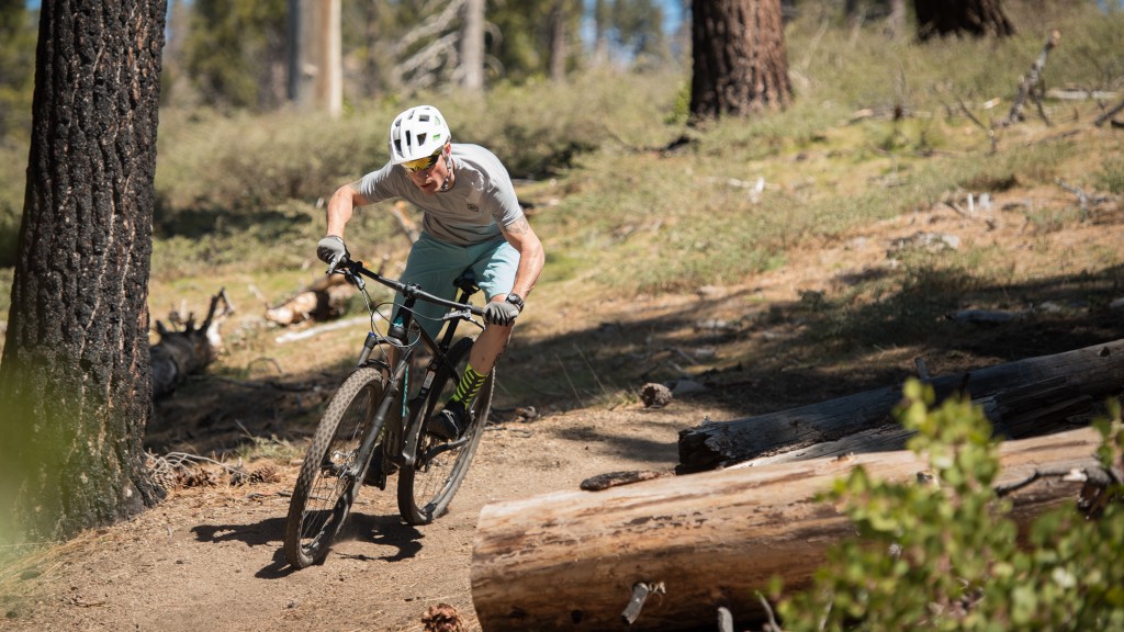 Yeti mountain shop bike shorts