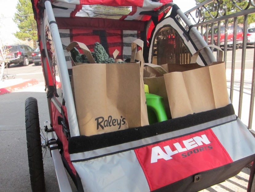 allen sports steel - the allen could handle hauling a full load of groceries, but only...