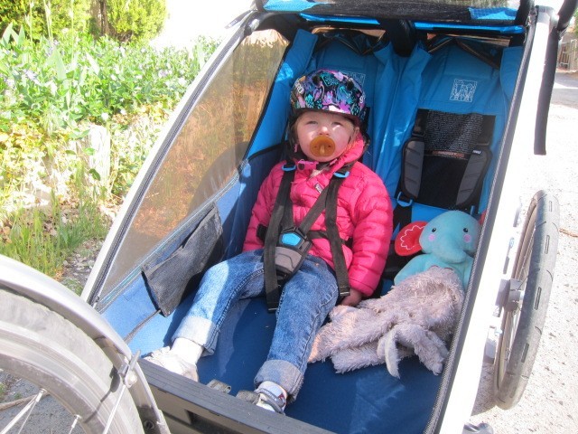 bike trailer - even in a super-secure trailer like the thule chariot cross...