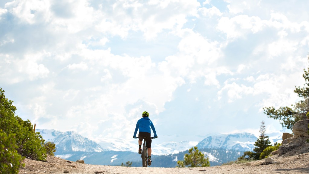 santa cruz chameleon r1+ - the chameleon is a solid companion provided you enjoy its frisky...