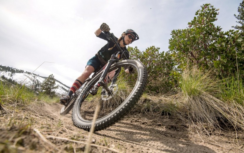 kona honzo al/dl 2017 - a fork more sensitive to small-medium sized hits would do wonders...