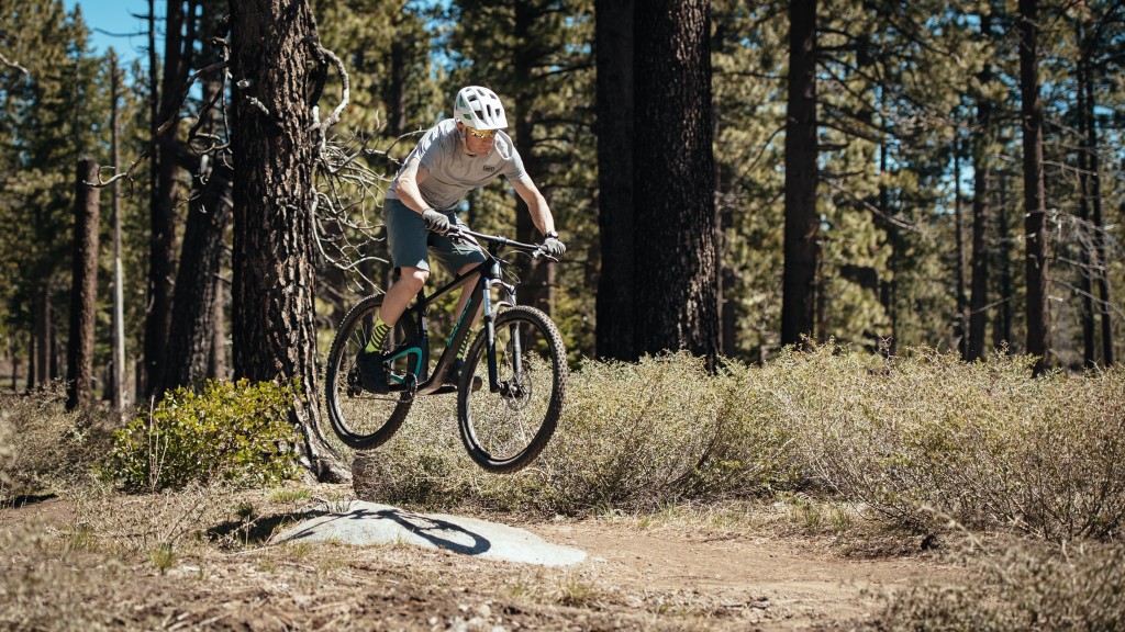 salsa woodsmoke 29 nx1 2017 - the woodsmoke requires some effort to engage in playful behavior.