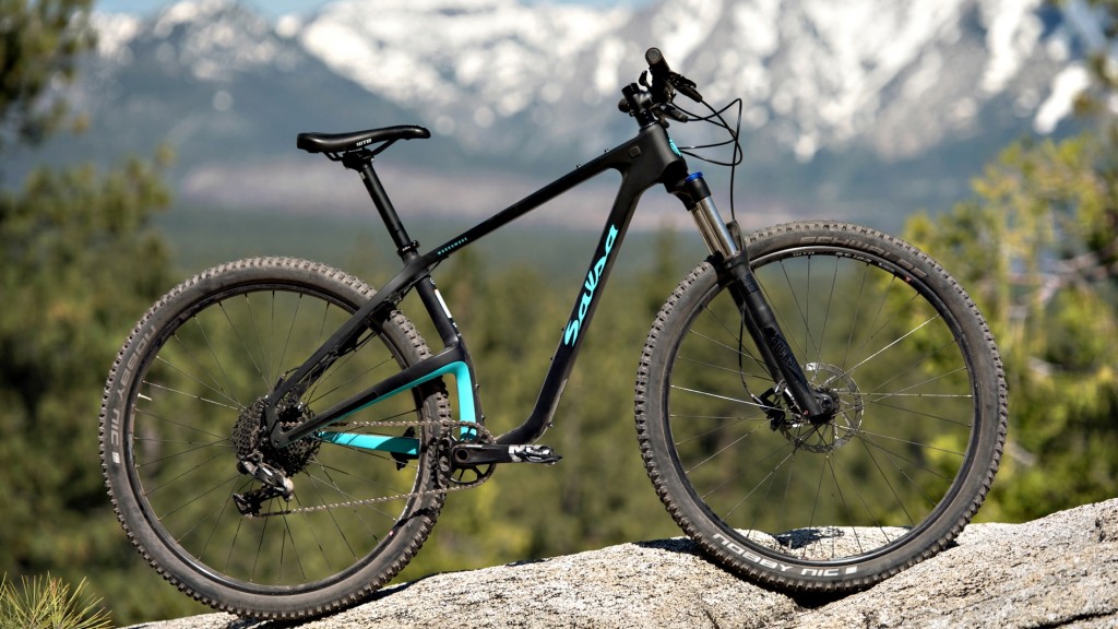 Salsa hardtail deals