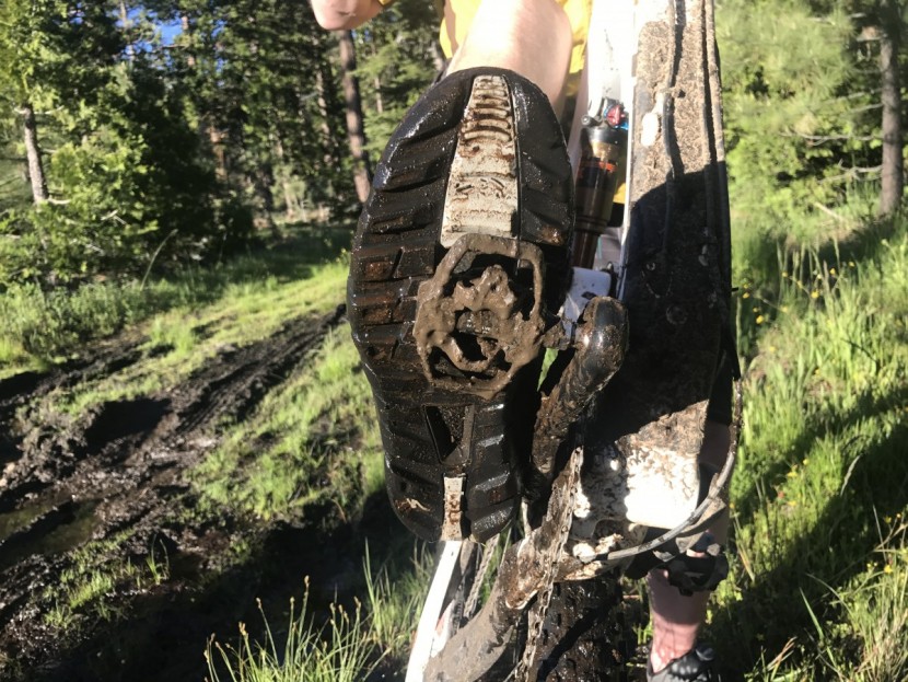 shimano xtr m9020 trail - these pedals do a fair job of shedding mud.