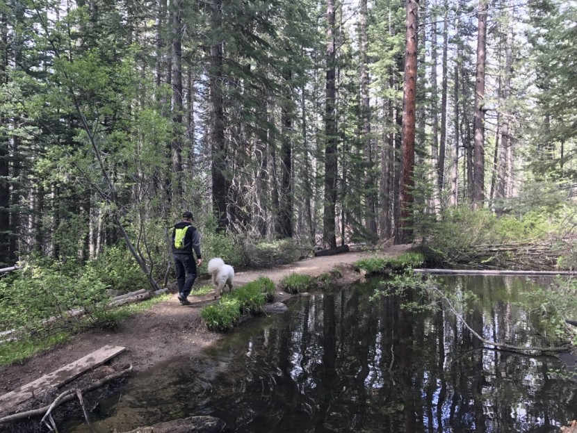 camelbak rogue - not just for cycling and running, day hikes are also in this pack&#039;s...