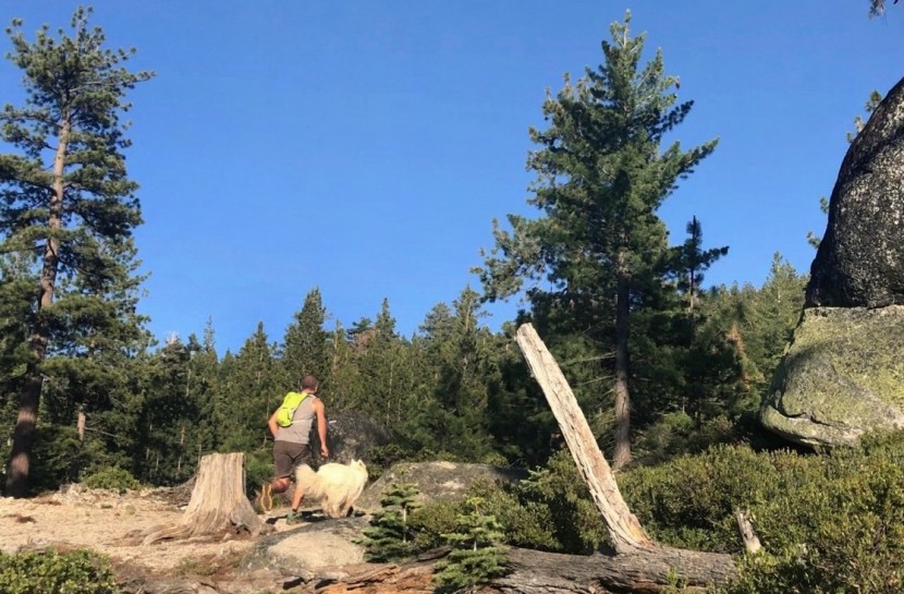 camelbak rogue - the rogue, one of our top minimalist packs (along with the camelbak...