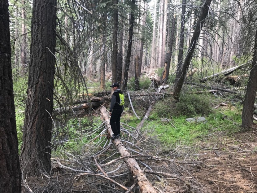 camelbak rogue - the low profile design is ideal for hiking.