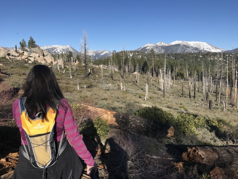 teton sports trailrunner - the trailrunner 2.0 on a spring hike.