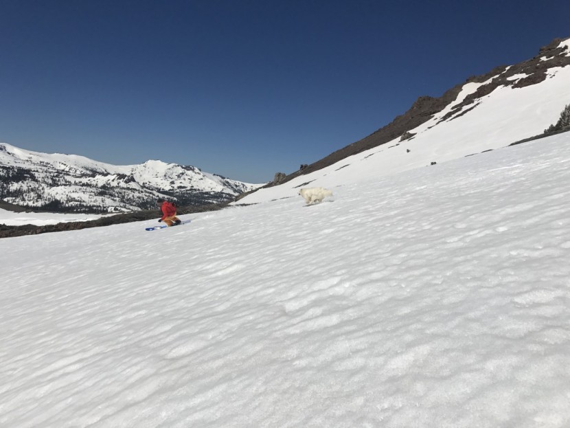 osprey raptor 10 - the pack&#039;s storage isn&#039;t just for mountain bike riders!