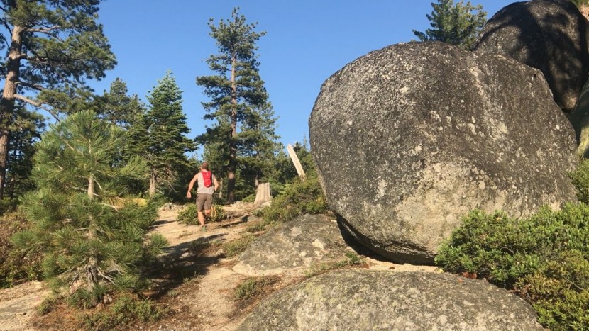 hydration pack - the classic out on the run.