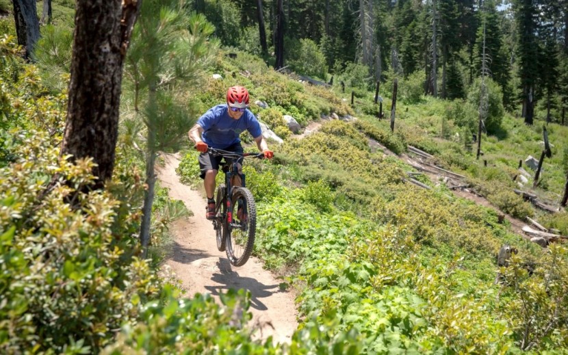 rocky mountain altitude alloy 50 2018 - the altitude slays fast and smooth singletrack.