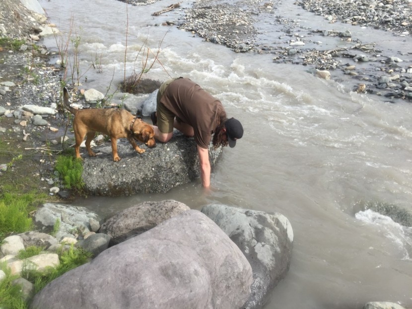 timbuk2 tandem - the timbuk2 tandem didn&#039;t fare well during our submersion test...