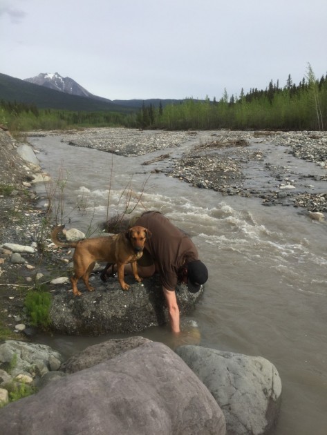 thule adventure touring - the adventure touring pannier was able to keep our gear dry even...