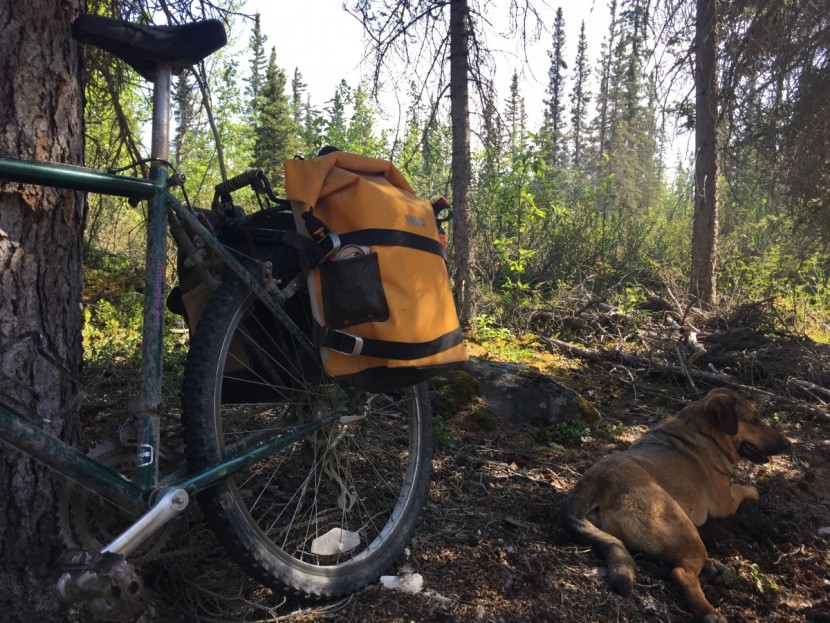 thule adventure touring - the thule adventure touring pannier had beefy amounts of storage and...