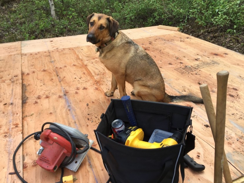 banjo brothers market pannier - with sturdy webbing handles and boxy storage, the market pannier was...