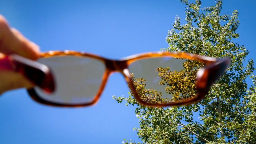 native kodiak - the kodiak's lenses have a somewhat lighter tint.
