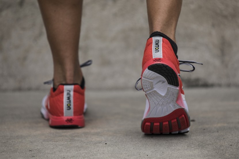 newton running distance vi - the outsole includes a patch of high abrasion rubber at the heel and...