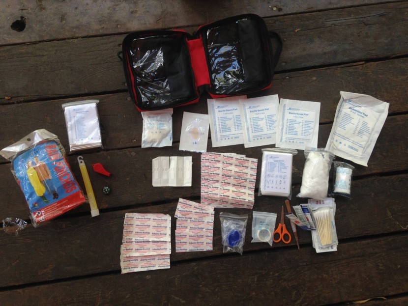 tripworthy compact - the contents of the tripworthy kit- heavy on the survival items...