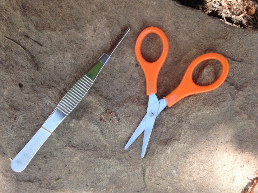 tripworthy compact - tweezers and scissors are included, but they are not of the highest...