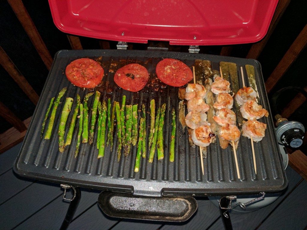 Blackstone Dash Portable Grill/Griddle for Outdoor Cooking