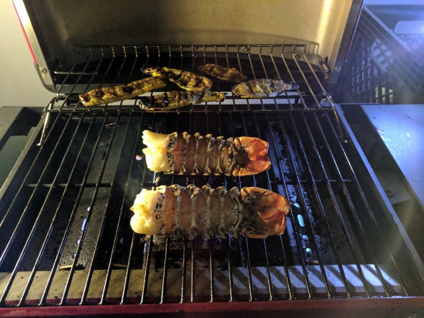 Smoke Hollow Vector Series Smoking Tabletop 3-Burner Review