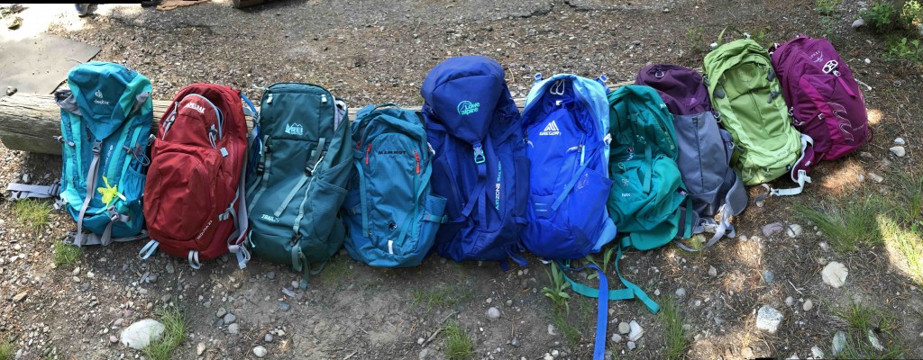 How to Choose a Daypack for Hiking - GearLab